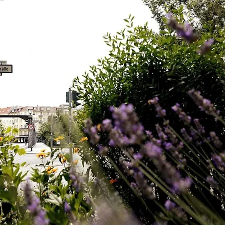 Lang Li By Rockchair L Superhost Status L 2 Bedrooms Boxspringbeds In Center - Cozy Family & Business Flair Welcomes You! Berlin